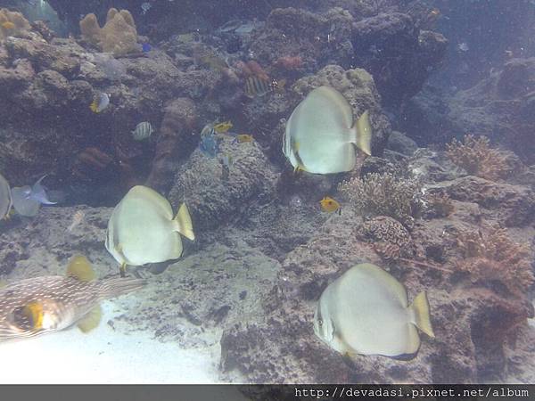 20140202_135111 20140202_135111