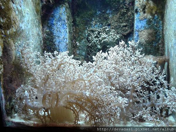 20140202_135854 20140202_135854