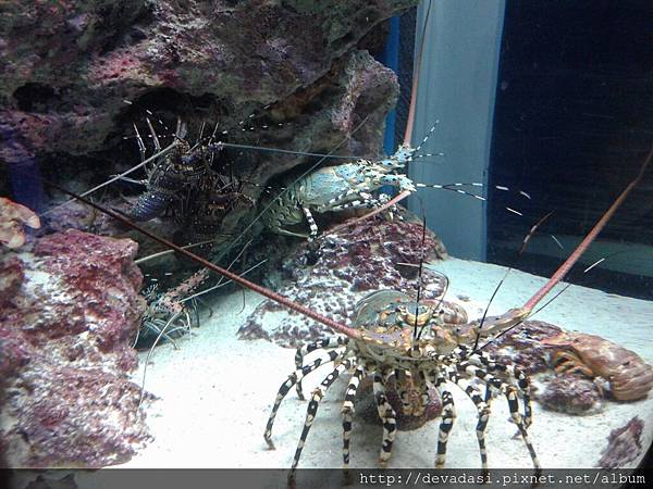 20140202_140137 20140202_140137