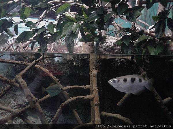 20140202_140220 20140202_140220