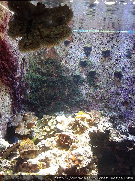 20140202_140433 20140202_140433