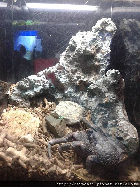 20140202_140544 20140202_140544