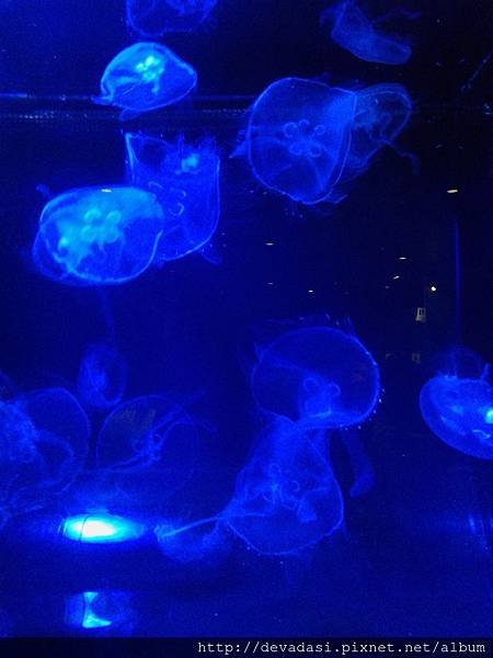 20140202_140700 20140202_140700