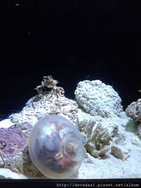 20140202_140902 20140202_140902