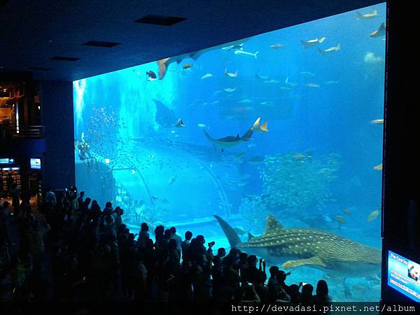 20140202_141027 20140202_141027