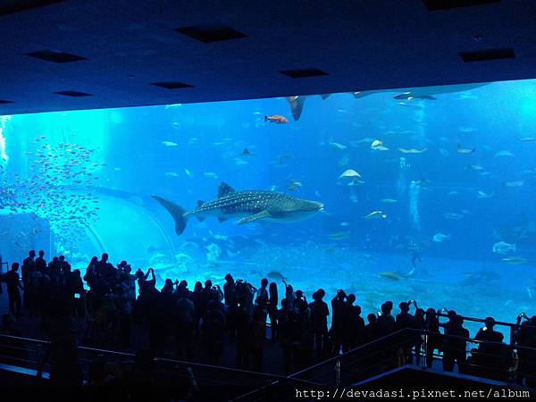 20140202_141312 20140202_141312