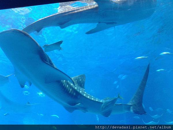 20140202_141532 20140202_141532