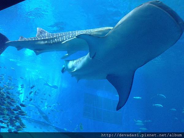 20140202_141541 20140202_141541