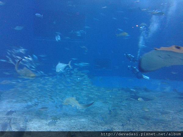 20140202_141609 20140202_141609