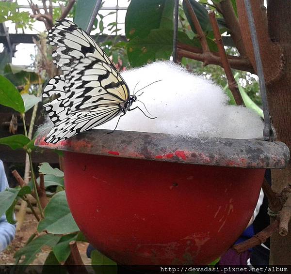 20140202_161538-1 20140202_161538-1