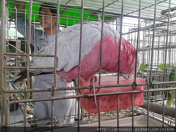 20140202_161913 20140202_161913