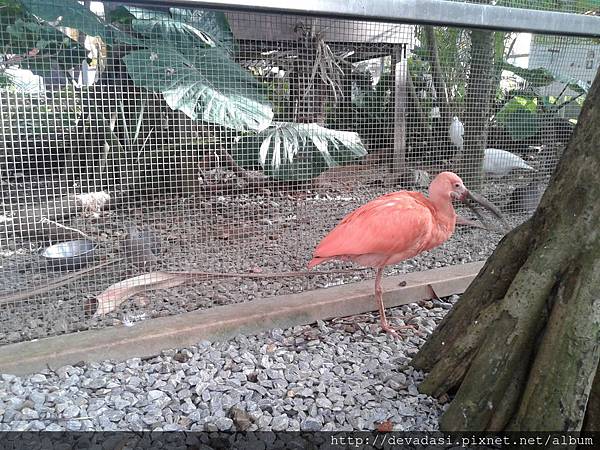 20140202_162051 20140202_162051