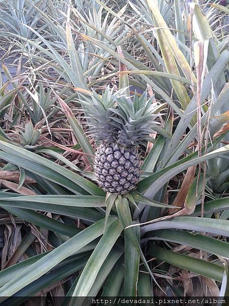 20140202_162437 20140202_162437