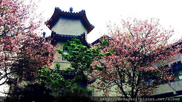 IMG_1293.JPG IMG_1293.JPG