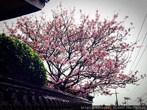 IMG_1295.JPG IMG_1295.JPG