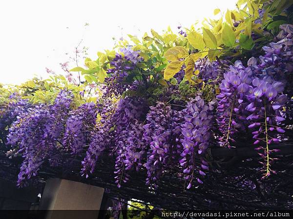 IMG_1302.JPG IMG_1302.JPG