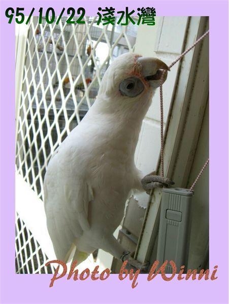 這個味道不錯嗑