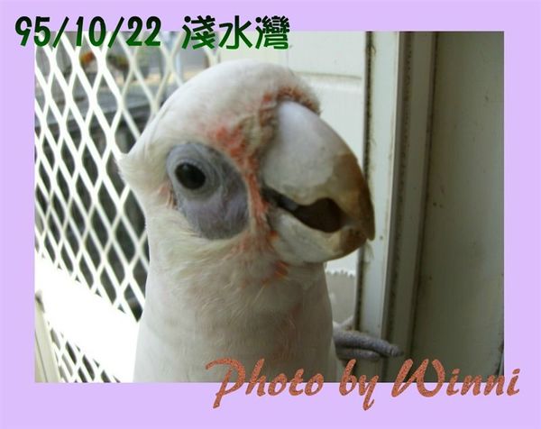 你可以再近一點唷！