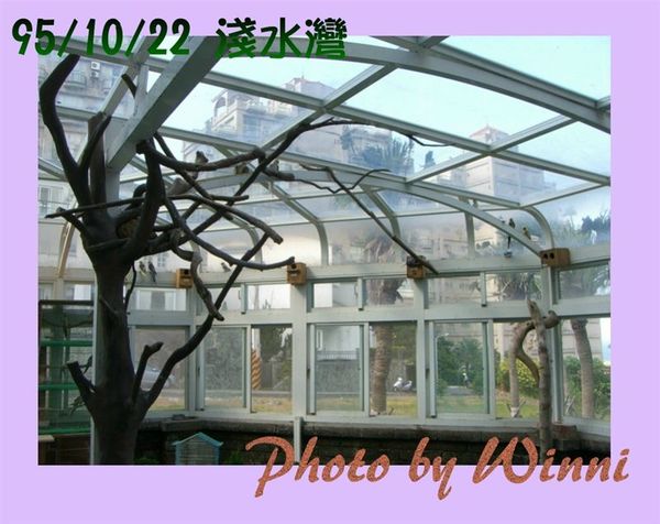 幸福的鳥樂園-1