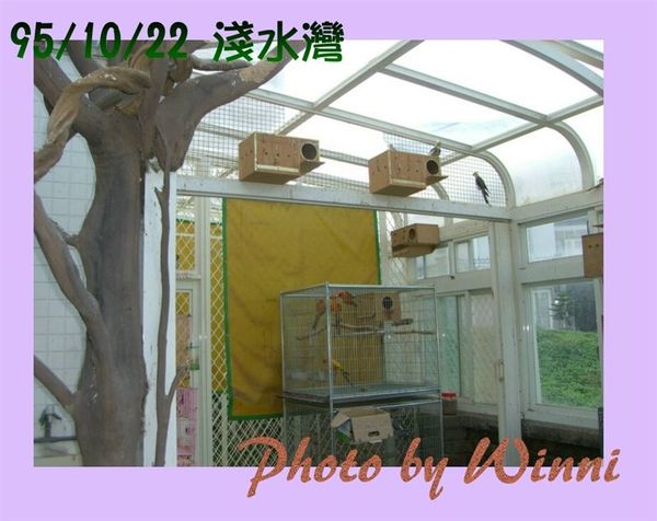 幸福的鳥樂園-3