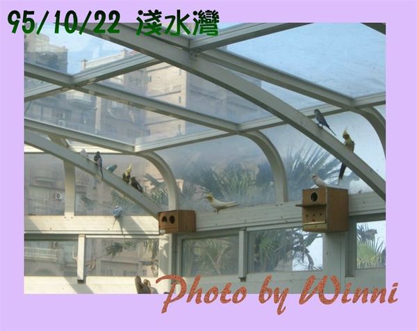 幸福的鳥樂園-5