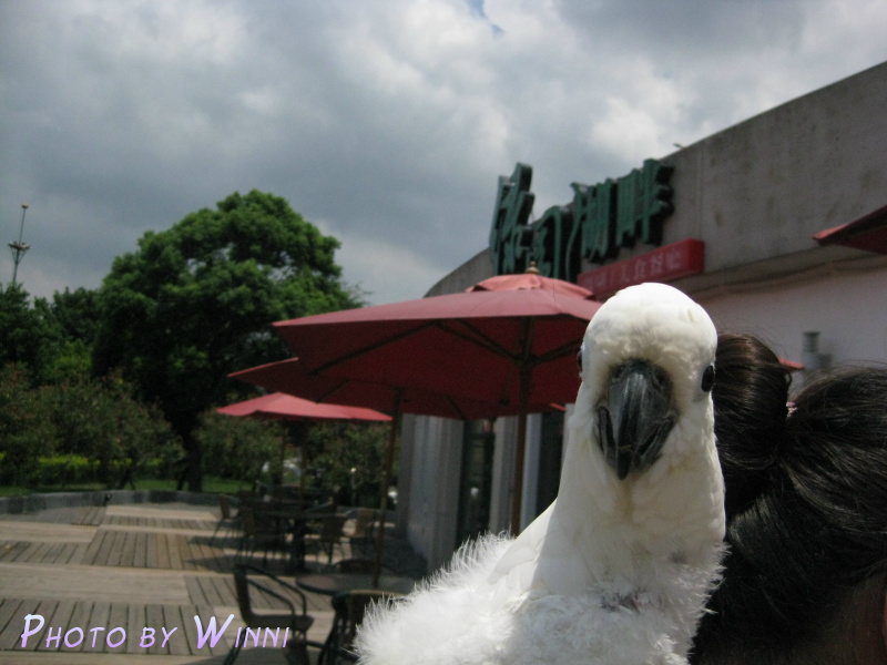 出來拍一張, 看有多熱呀!