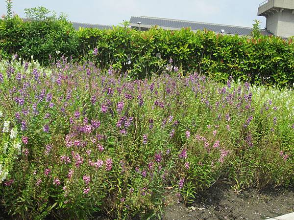 所有的安排，都是最好的安排🌄すべてのことが繋がっている