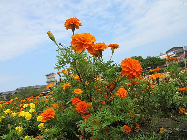 所有的安排，都是最好的安排🌄すべてのことが繋がっている