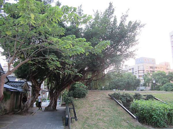 IMG_4412.JPG IMG_4412.JPG