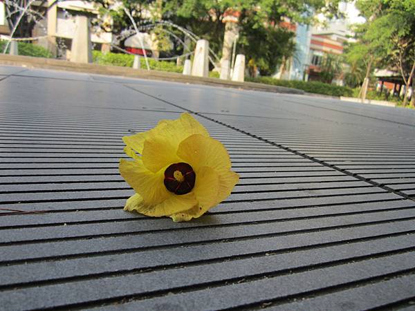 所有的安排，都是最好的安排🌄すべてのことが繋がっている