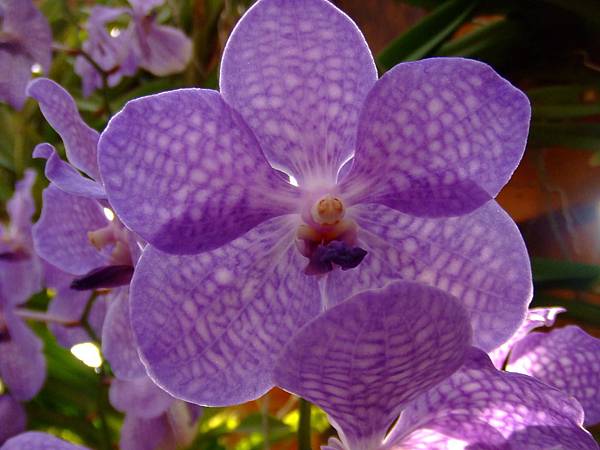 所有的安排，都是最好的安排🌄すべてのことが繋がっている