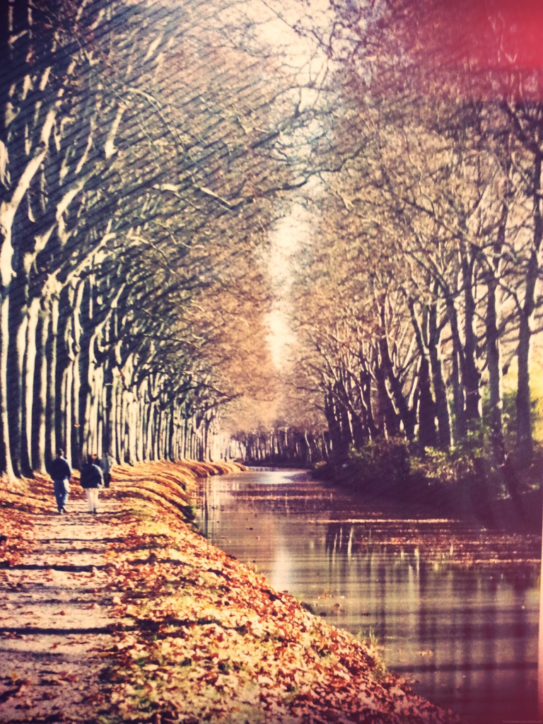 20130625_002932.jpg_effected-001