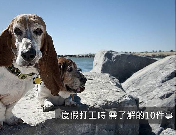 15734028639_492c9d657b_z