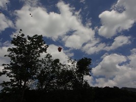 DSC00542 (複製).JPG