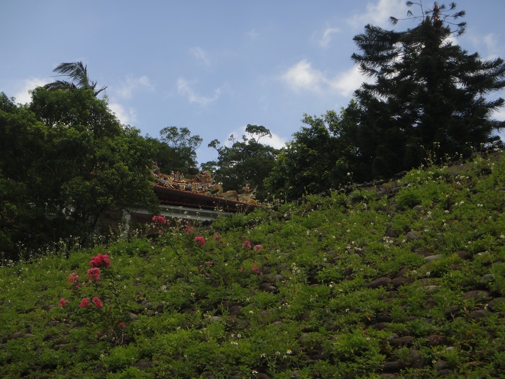 DSC00570 (複製).JPG