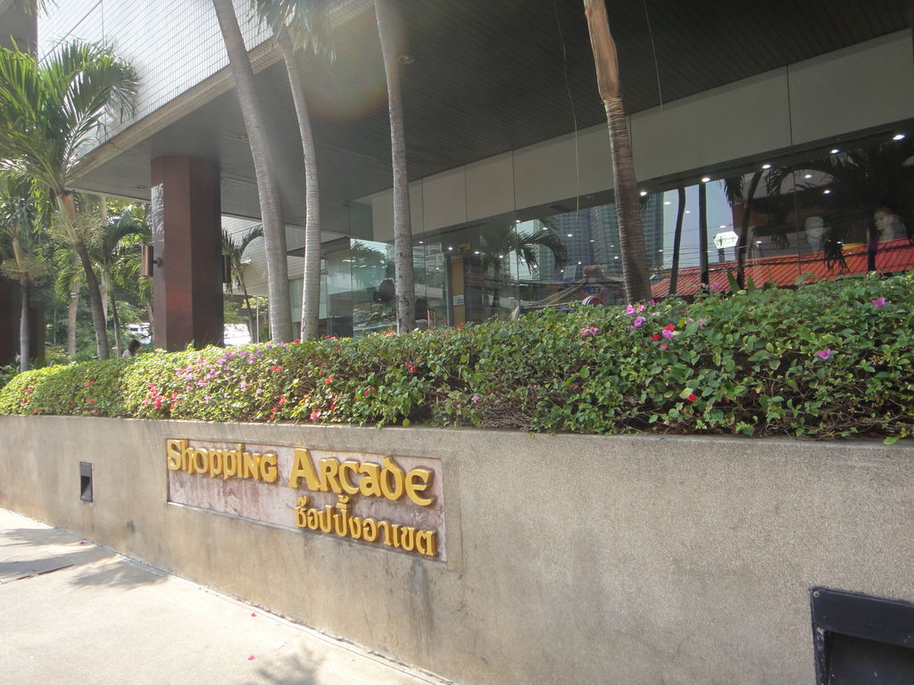 DSC09403.JPG DSC09403.JPG