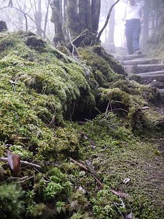 10171137_10203638770233349_3735538872311107780_n 10171137_10203638770233349_3735538872311107780_n