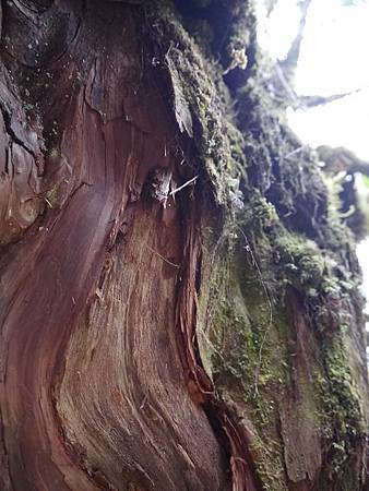 10262132_10203638771833389_8621715691043362902_n 10262132_10203638771833389_8621715691043362902_n