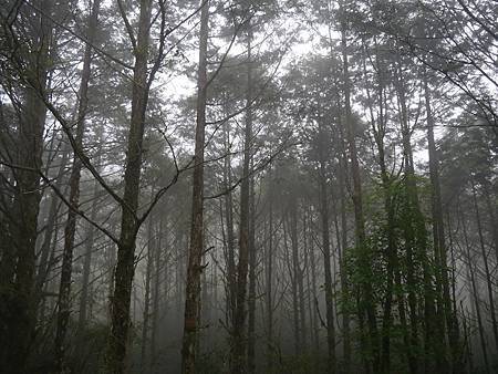 1538808_10203638770273350_1308627560274992330_n 1538808_10203638770273350_1308627560274992330_n