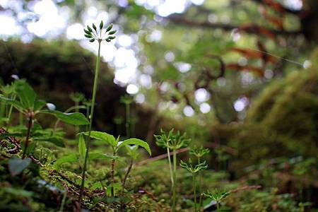 10155983_10203638782713661_6913867164237542982_n 10155983_10203638782713661_6913867164237542982_n