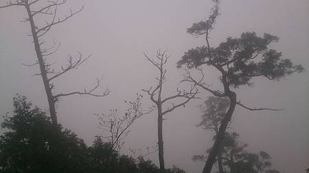 10176069_10203638779393578_3240058524257962791_n 10176069_10203638779393578_3240058524257962791_n