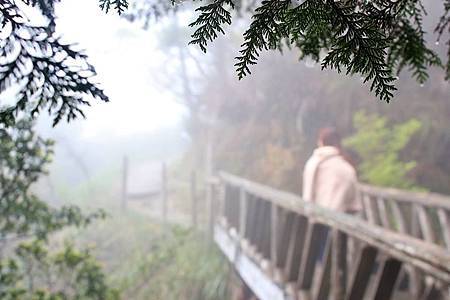 1525447_10203638791153872_829795947107717841_n 1525447_10203638791153872_829795947107717841_n