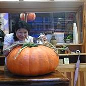 美國大南瓜 好大>w<b