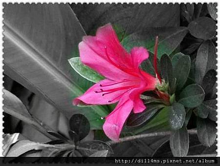 305917_401798289917806_525859499_n