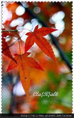 420380_398568133574155_1265577779_n