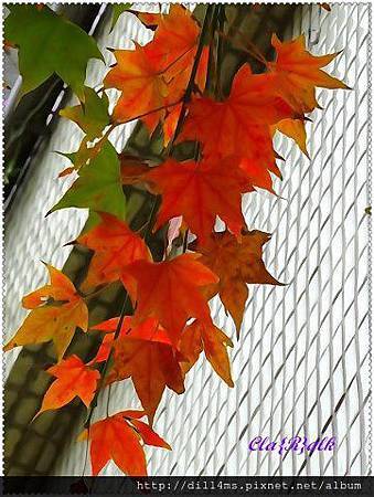 483863_398568590240776_346516499_n