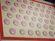 1476667_220315111481652_1273858575_n