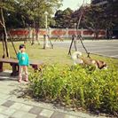 1545967_223851644461332_1975565810_n