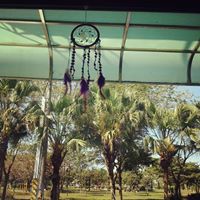 1536525_235836856596144_1119634659_n