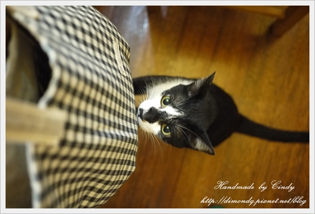 P1030418.jpg P1030418.jpg